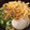 20070825's cooksnap of when they made 刻み玉ネギが隠し味！美味しい煮込みうどん.