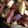 ♪★noriko★♪'s cooksnap of when they made さつまいもの中華炒め.
