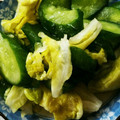 ゆうこりんp's cooksnap of when they made 簡単！あるもので！だし浅漬け.