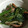みかboo's cooksnap of when they made 簡単！スナップえんどうのマヨ炒め.