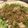 みぽらん's cooksnap of when they made 茹で鶏の白いタレ～.