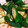 Cicelyseri's cooksnap of when they made お弁当用のオクラの和え物.