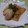 ☆かよちん☆☆☆'s cooksnap of when they made 具だくさん、本格春巻き。～基本の中華～.