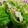 クック29V4JN☆'s cooksnap of when they made ささみのｷｬﾍﾞﾂﾛｰﾙ.