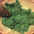あかまろマザー's cooksnap of when they made 村のばぁちゃんに教わったヨモギの下処理.
