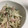 ぱうりくま's cooksnap of when they made うどとささみの胡麻マヨ和え.