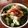 クックN7Y50W☆'s cooksnap of when they made ☆きゅうり☆で簡単お漬け物.
