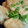 akomanman's cooksnap of when they made 鶏のしょうがマヨ和え☆ムネ肉でも柔らか☆.