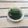 ナピト's cooksnap of when they made 行者にんにくの醤油漬け.