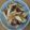 ぷりん１１７'s cooksnap of when they made 生ウドとホタルイカの辛子酢味噌かけ♪.