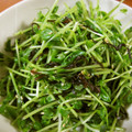 低カロ探検隊's cooksnap of when they made 豆苗の塩昆布和え.