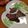 a0imama♡'s cooksnap of when they made 簡単肉料理★シュラスコ&モーリョ.