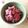 OM♡'s cooksnap of when they made STAUB鍋でローストビーフ.