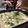 ぼぼんた2's cooksnap of when they made もんじゃ焼き.