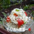 もりあん農園's cooksnap of when they made パサパサじゃない！おからサラダ.