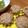 kahorim16's cooksnap of when they made 卵なし！バナナ☆ココナッツパウンド☆.