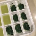 witchaura's cooksnap of when they made 【離乳食初期】ほうれん草とかぶのペースト.