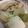 やそん's cooksnap of when they made ぶりのオイスターソース鍋.