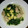 門松なめこ's cooksnap of when they made 白だしで水菜の煮物.