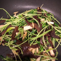 あやちろげ's cooksnap of when they made きくらげと豆苗の生姜炒め.