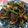 ★ほのどんママ★'s cooksnap of when they made セロリときのこの炒めもの.