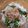 i_yokan's cooksnap of when they made 菜の花と新玉ねぎのサラダ.