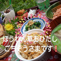 もりあん農園's cooksnap of when they made ほうれん草のおひたし.