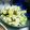 そよ風ソヨン's cooksnap of when they made キャベツ♡♥塩昆布レモン風味サラダ.