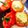 捌依露's cooksnap of when they made 【ベジココット】パプリカチーズハンバーグ.