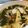 ☆糖質減らしてます☆'s cooksnap of when they made 筍とわかめのコンソメスープ♪.