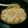 kikimaguro's cooksnap of when they made 失敗なし☆たけのこごはん♪.