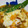 あっきー5296's cooksnap of when they made だし醤油でラクうま♪さやえんどうの卵とじ.