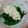 ＊れいぴん＊'s cooksnap of when they made 豆腐ココナッツソースの温野菜風サラダ♪.
