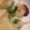 クックGUWI4Z☆'s cooksnap of when they made ササミのしそチーズ巻き.