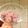 ゆっずぽん's cooksnap of when they made 絶対好きになる！スミヤキのユッケ！.