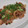 チョコママ★'s cooksnap of when they made 紅しょうがのしょうが焼き.