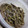 こずっぺ's cooksnap of when they made ✿ふきの佃煮風✿.
