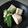 はるかっち１号's cooksnap of when they made 高野豆腐と絹さやの卵とじ.