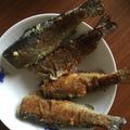 ホセ・麺ドーサ's cooksnap of when they made 簡単☆白身魚のマヨパン粉焼き.