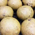 しのっぴ1026's cooksnap of when they made お茶酵母で甘納豆パン.