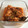 happykitch's cooksnap of when they made 煮るだけ簡単！チキンとトマトのとろとろ煮.