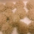 yuushyun's cooksnap of when they made 簡単☆もち米シュウマイ.