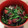 arutoren's cooksnap of when they made 春菊とかつおのたたき、わさび風味で.