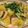 Ayako0713's cooksnap of when they made ホタテと野菜のグレフルインサラダ.