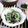 ＴＯＭＯＷＡＴ's cooksnap of when they made 晩酌のお供に♬ 胡瓜とシラスの昆布和え☆.