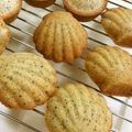 TeaMuffin's cooksnap of when they made レモンティーフィナンシェ.