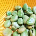 ＊みっぽこ＊'s cooksnap of when they made 基本の美味しい☆そら豆の茹で方(⌒‐⌒).