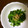 サトモユリア's cooksnap of when they made 超〜簡単！RAWほうれん草の胡麻和え.