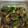 あゆさん0114's cooksnap of when they made ナスとピーマンの焼き浸し.