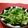 赤い電話's cooksnap of when they made 水菜のナムル.